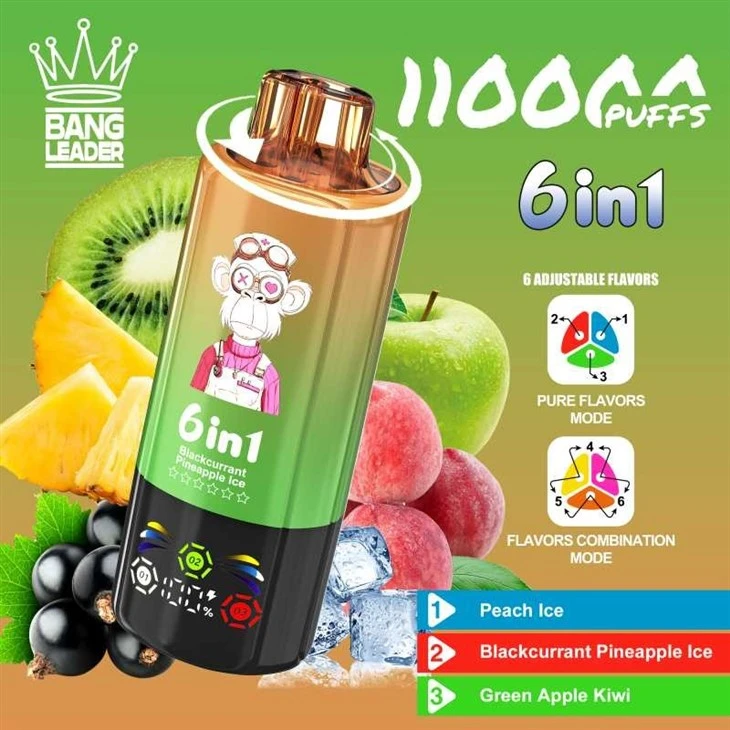 Bang Leader 110K factory Bang Leader 110K factory