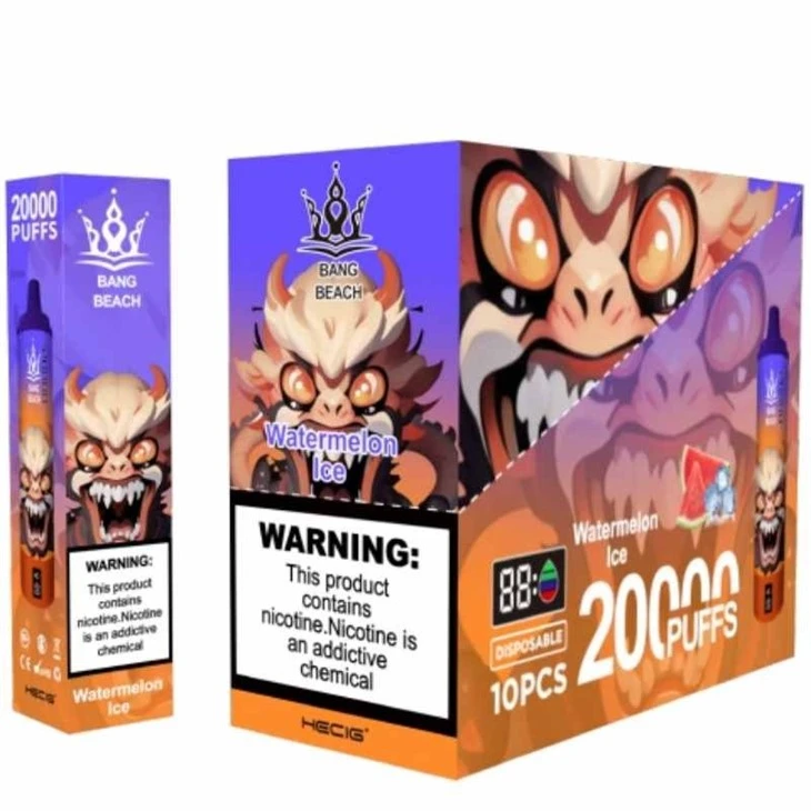 BANG BEACH 20000 puffs