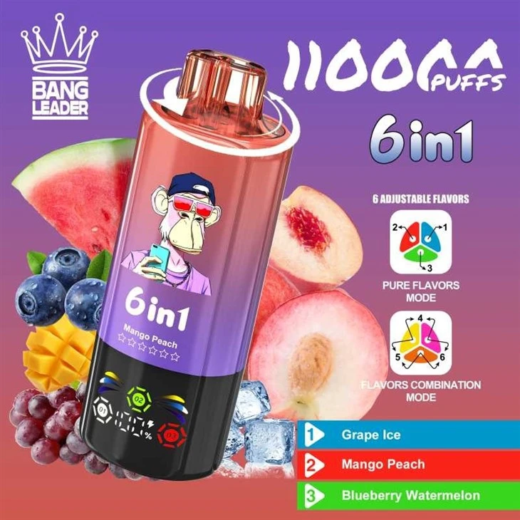 Bang Leader 110K Puffs price