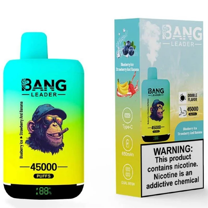 Bang Leader 45000 factory