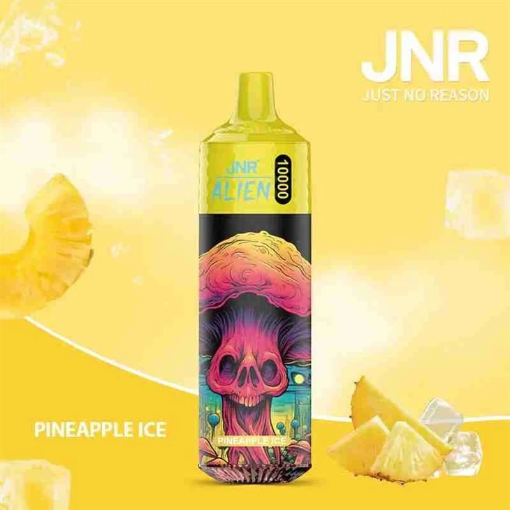 Pineapple-Ice-JNR Alien 10000