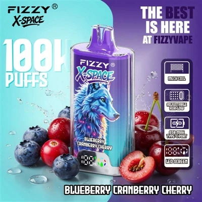 Fizzy 100K X Space: tas nav nekas ievērojams, lai ierīce kalpotu ilgu laiku; ...