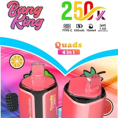BANG KING kvadricikli 250000 4IN1
