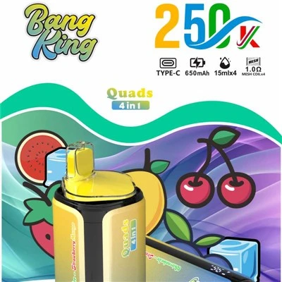 BANG KING Kvadracikli 250K 4IN1
