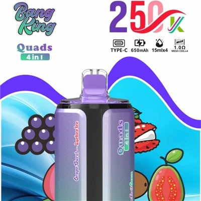 BANG KING kvadricikli 4 IN1 250K