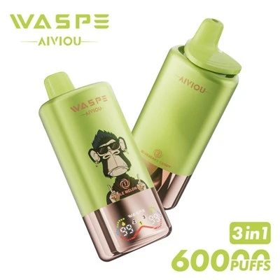 WASPE AIVIOU 60K
